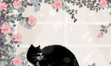 缺木缺火的女孩诗意名字 取名宝典