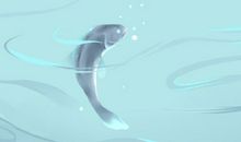 梦见浅水里有很多鱼 预示什么