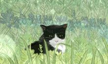 梦见猫跑到自己床上来代表着什么