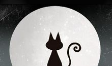 梦见猫跳上我的床是什么意思