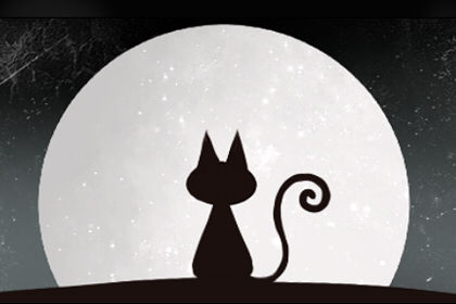 女人梦想杀死猫的含义是什么？