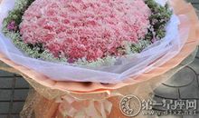 母亲节必送的康乃馨可以送女朋友吗
