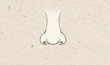 面相学鼻子图解 鼻翼大面相学大全