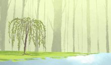 金秋十月稻香飘 浙江茗岙梯田