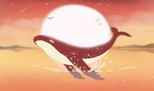 2019天龙座流星雨爆发时间