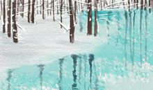 秋日下一片金黄 内蒙古莫尔道嘎森林