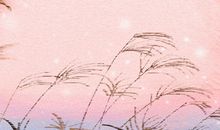 6月份适合去丽江吗，丽江适合几月份去