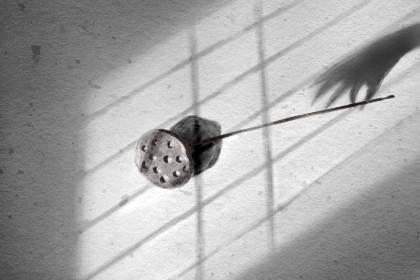 上海博物馆大厦宝藏爸爸