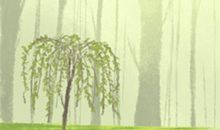 2015年十月适合结婚的黄道吉日