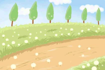 百合花是卧室吗？记得是合适的