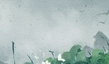 世界环境日小常识 环保小知识