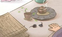 华中屋脊 神农架