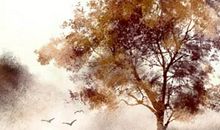 出生日期查五行属性 生辰八字查询不知道出生时间