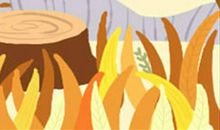 命是空调给的！2016中国十大火炉城市