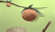 世界最受欢迎的水上运动之冲浪