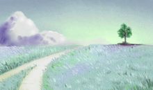 中国十大油菜花海之青海门源