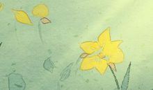 1月18日生日花：雏菊，生日花语快活