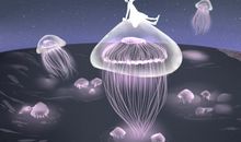 人类为什么不登太阳 是否有可能登陆太阳