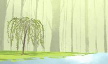 3月16日花语：纯白水仙，生日花语陶醉