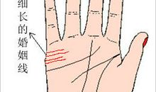 婚姻线有四条预示着什么？