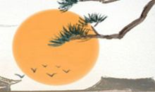 情人节送玫瑰花代表什么意思