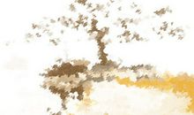 西安千年银杏树 天下第一银杏树