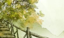 北京今年杨柳飞絮时间约50天 杨絮柳絮分别是什么