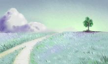 钓鱼台银杏大道 我国银杏主要分布范围