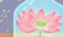花语故事之金百合花语，心想事成