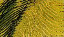 深圳国庆游 让你乐不思蜀