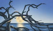 中国三大半岛有哪几个 特征是什么