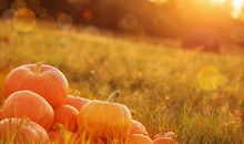 12月12星座运势大全：好运相随