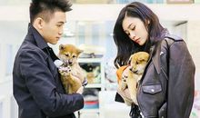 生命灵数揭秘：奚梦瑶何猷君两人合不合拍