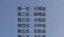 射手座的爱像什么？