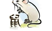 大师揭秘2017年属鼠人旺运财位