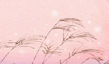 属牛白羊座女生性格特点