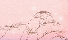 属牛双子座女生性格特点