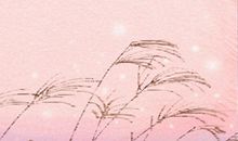 属牛摩羯座女生性格特点