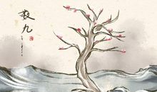 2020数九从什么时候开始从什么时候结束