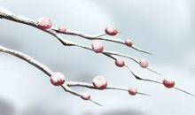 冬至是几月几号2020年数九 一九至九九时间表