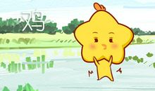 生肖鸡2021年的运气怎么样