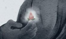 属羊的做什么生意最旺 事业运势如何