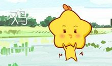 不同年份属鸡2021幸运号码分别是多少