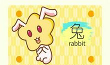 2021属兔上半年整体运势运程解析