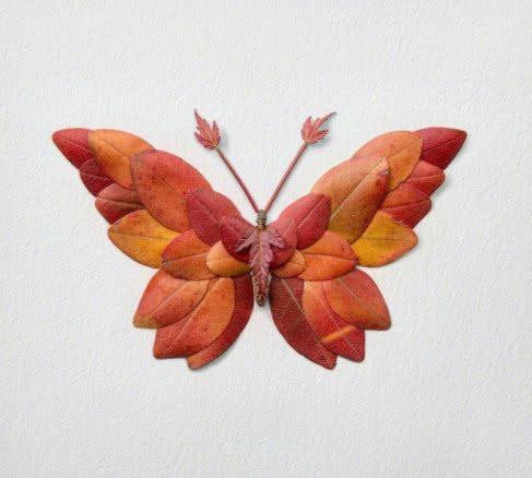 心理测试：哪种蝴蝶是最美丽的？请参阅12月3日将收获的“惊喜”