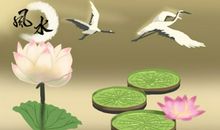 木命忌讳做什么行业 五行属木的人怎么旺财