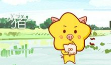 2021属猪的幸运楼层有哪些