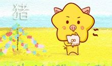 2021属猪的幸运植物是什么