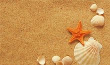 狮子座：我有一个牛逼闪闪的梦想