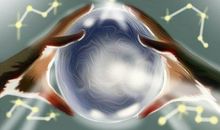 土命做什么行业比较旺 干什么容易发财